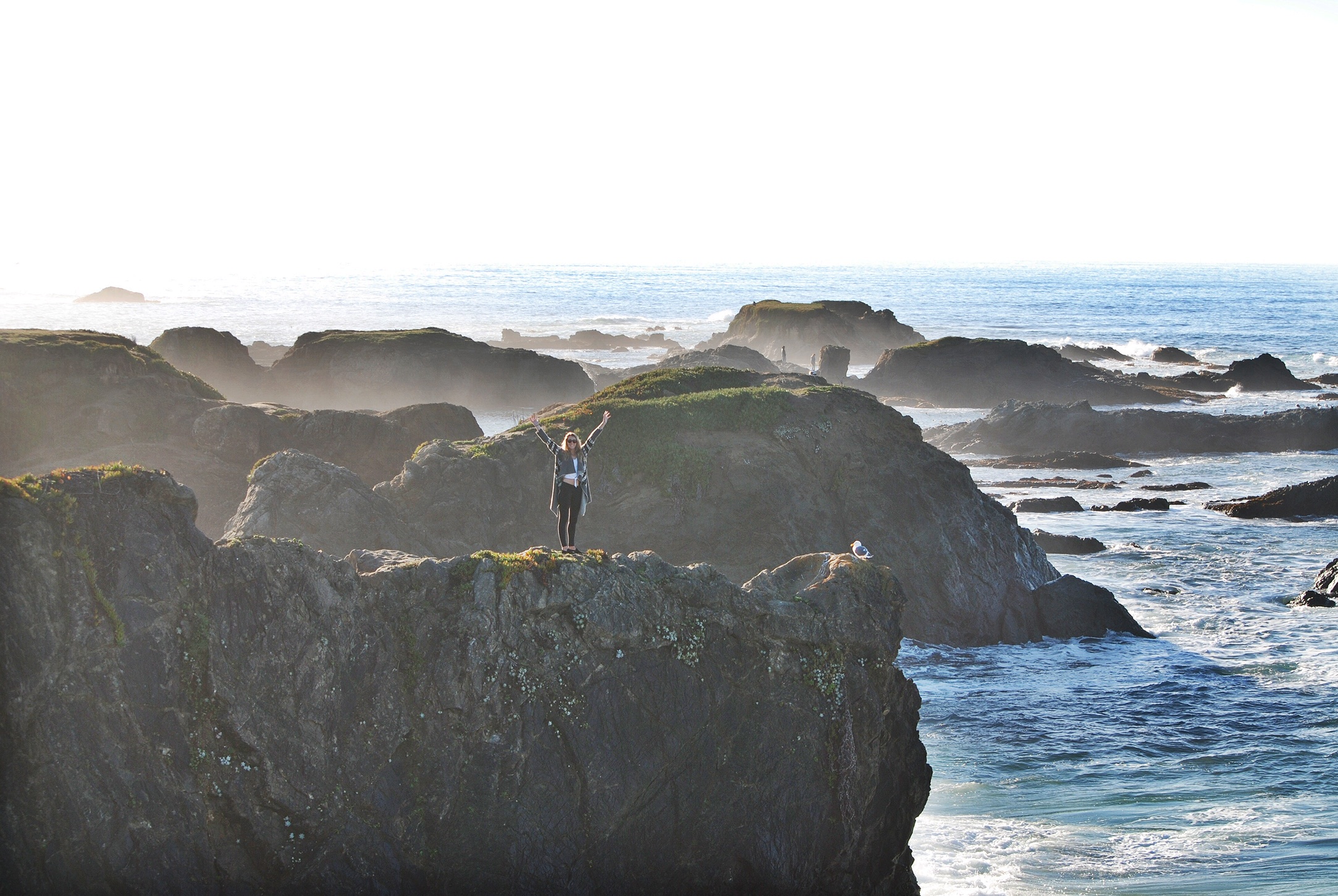 Molly P VandenBerg on the California coast